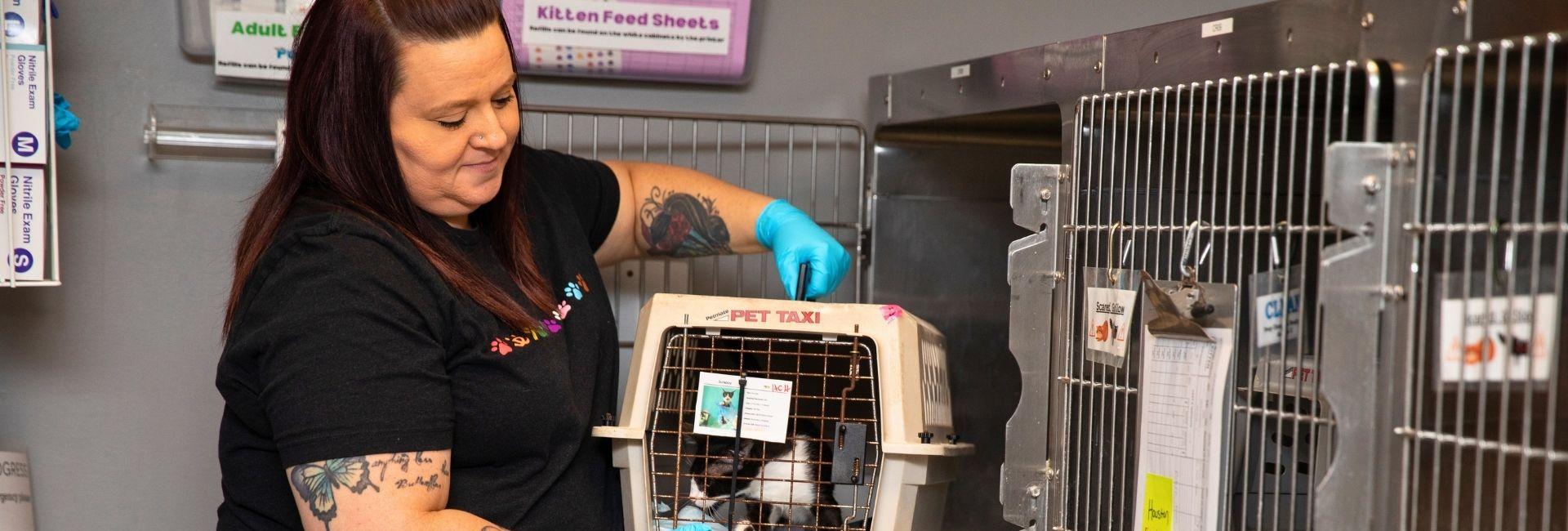 Woman with brown hair in a black shirt lifting a cat carrier to a bank of cages